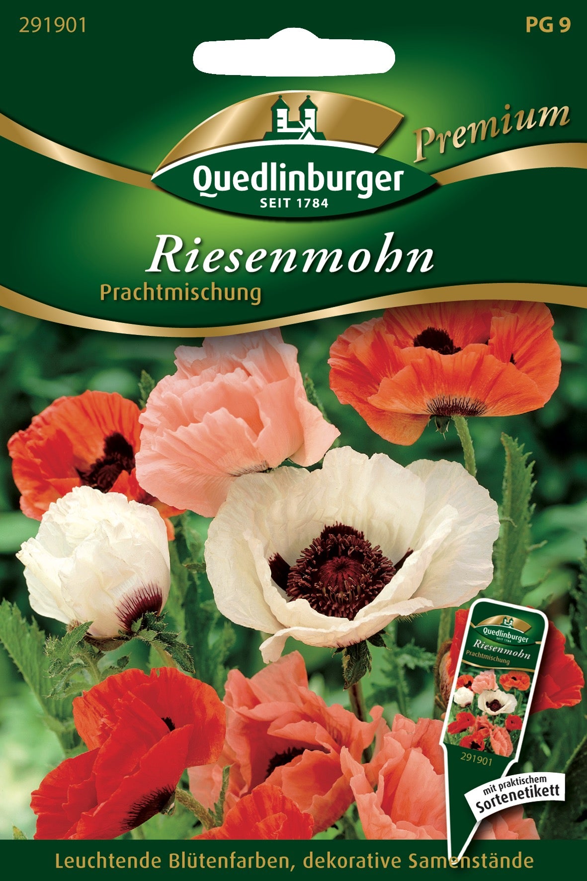Blumensamen Türkischer Mohn Prachtmischung von Quedlinburger SAATGUT