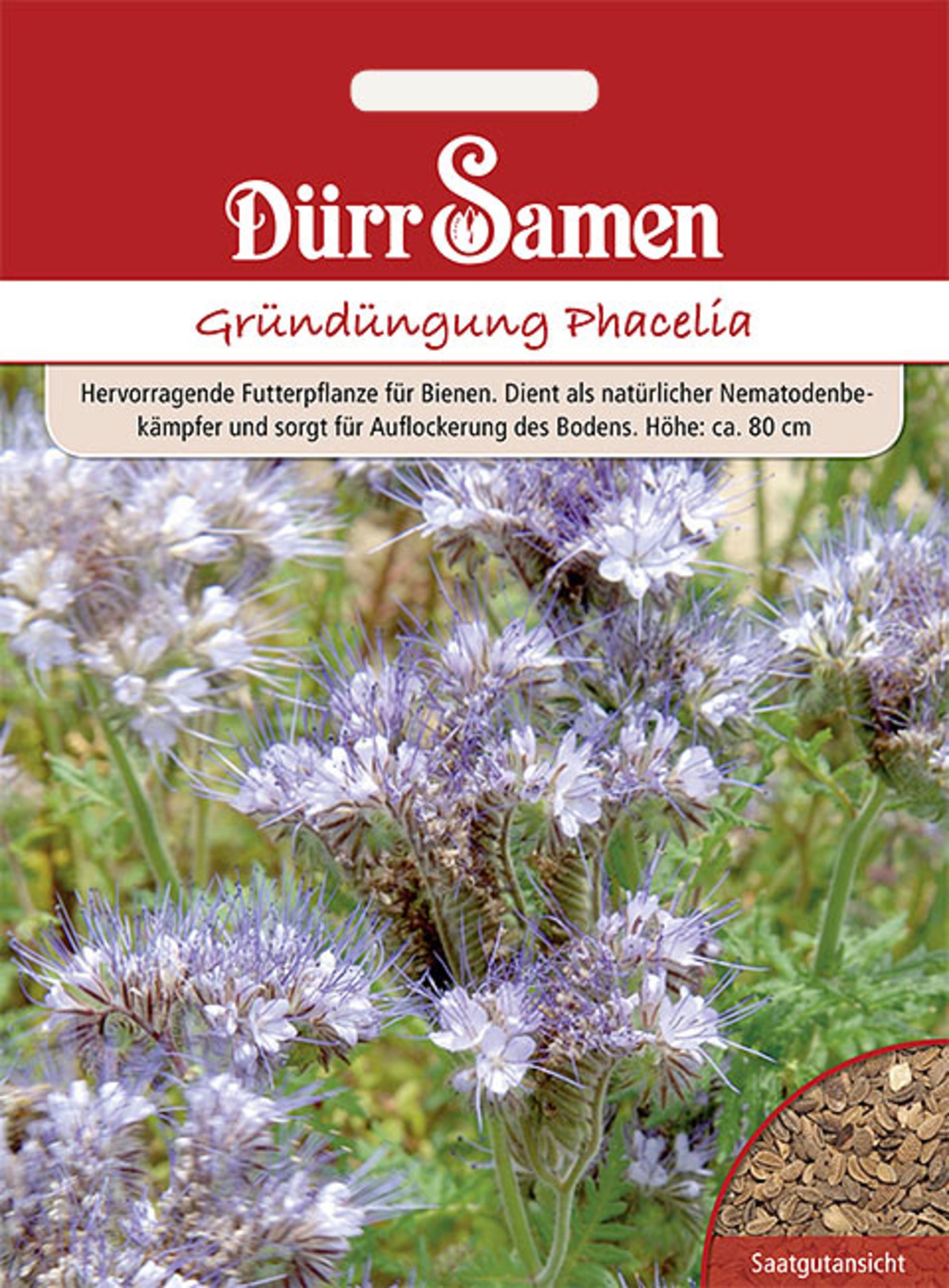 Blumensamen Gründüngung Phacelia/Bienenfreund 400 g von Dürr Samen