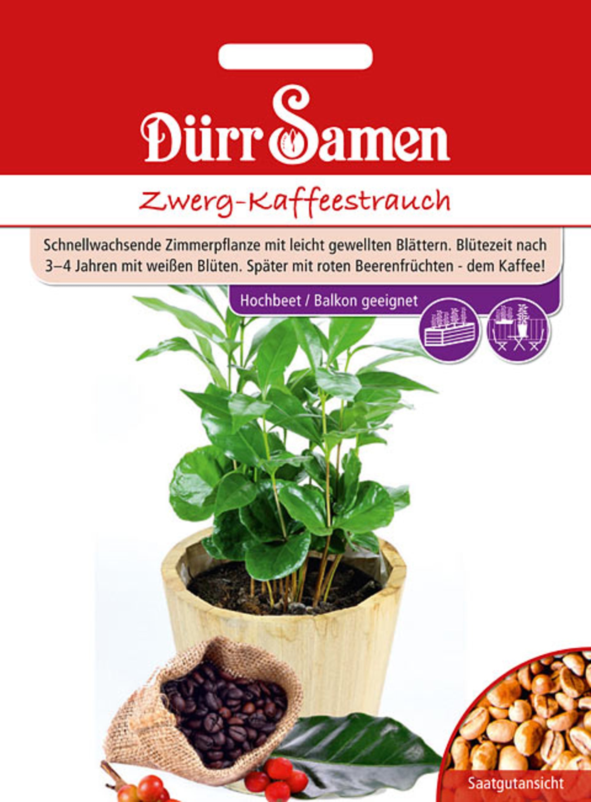 Gemüsesamen Zwerg-Kaffeestrauch von Dürr Samen