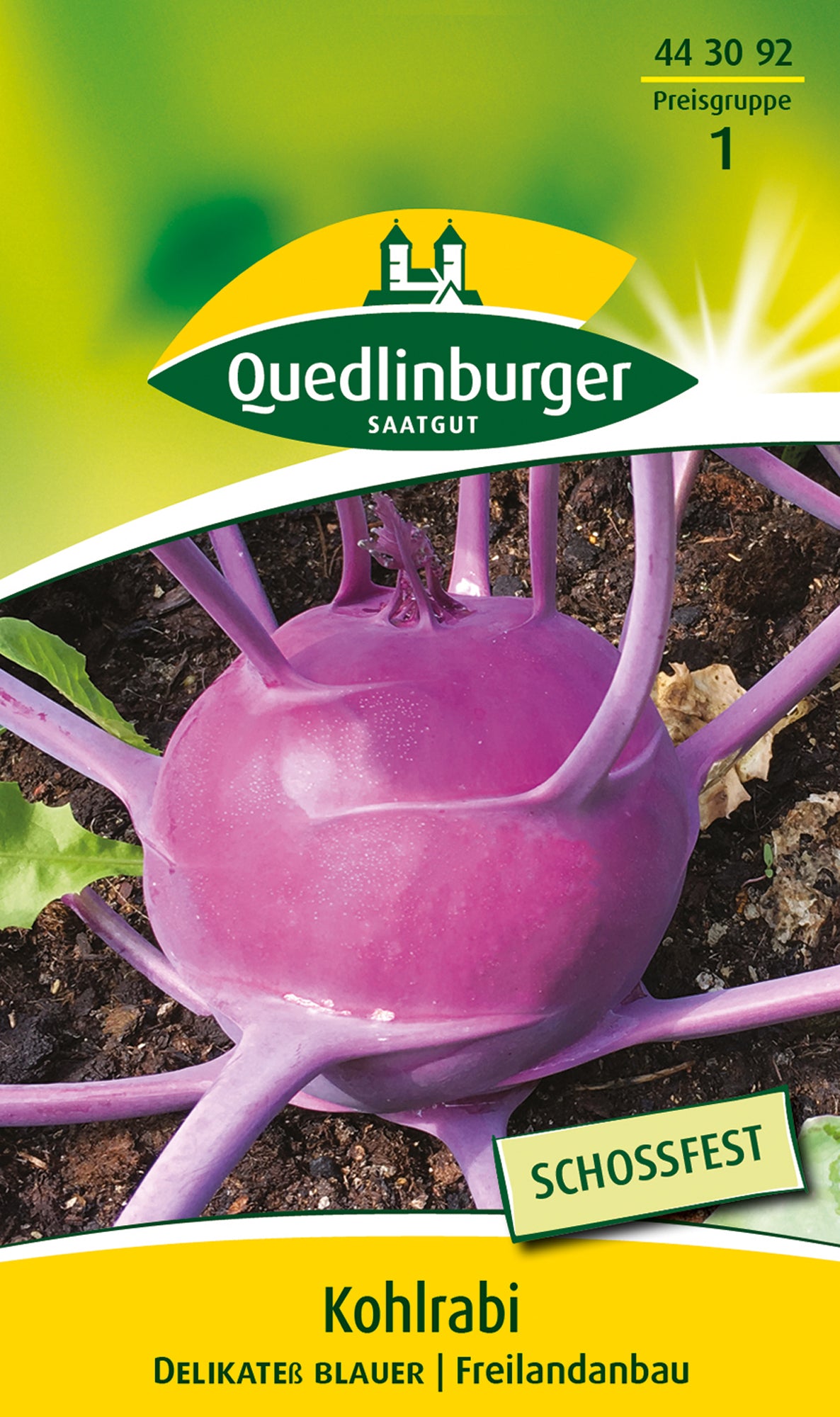 Gemüsesamen Kohlrabi Delikateß blauer von Quedlinburger SAATGUT