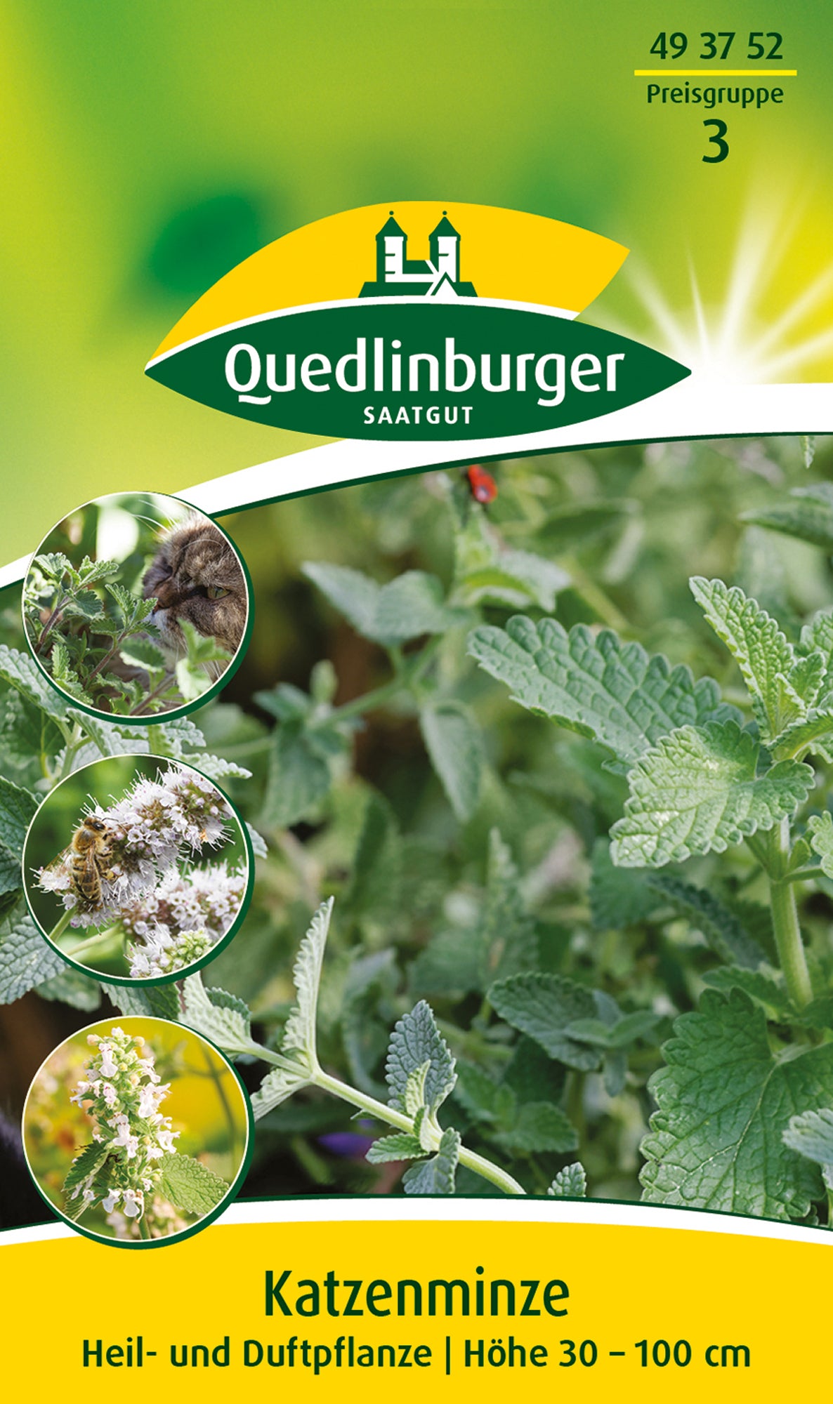 Kräutersamen Katzenminze von Quedlinburger SAATGUT