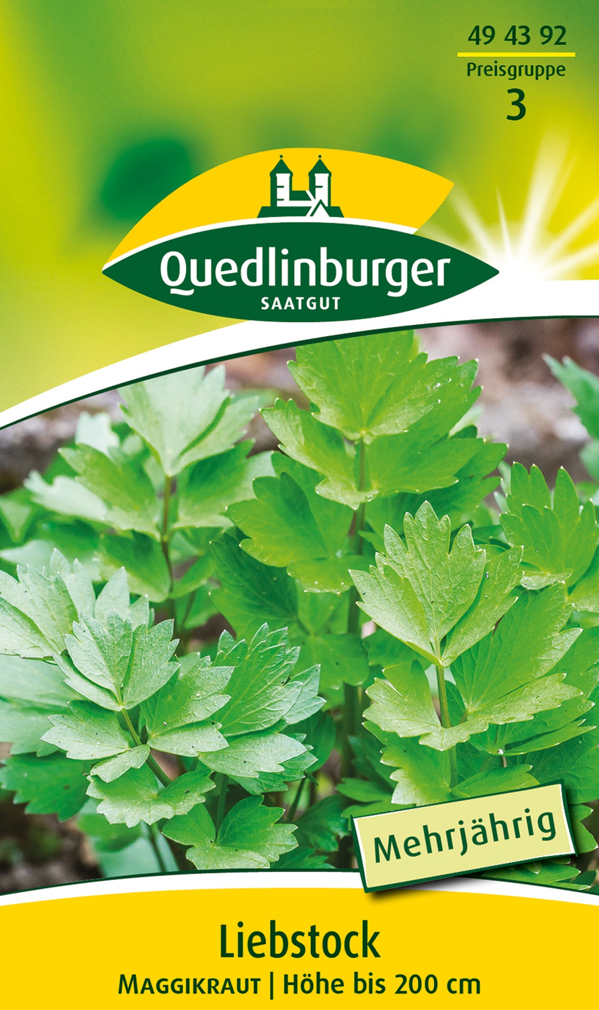 Kräutersamen Liebstock Maggikraut von Quedlinburger SAATGUT