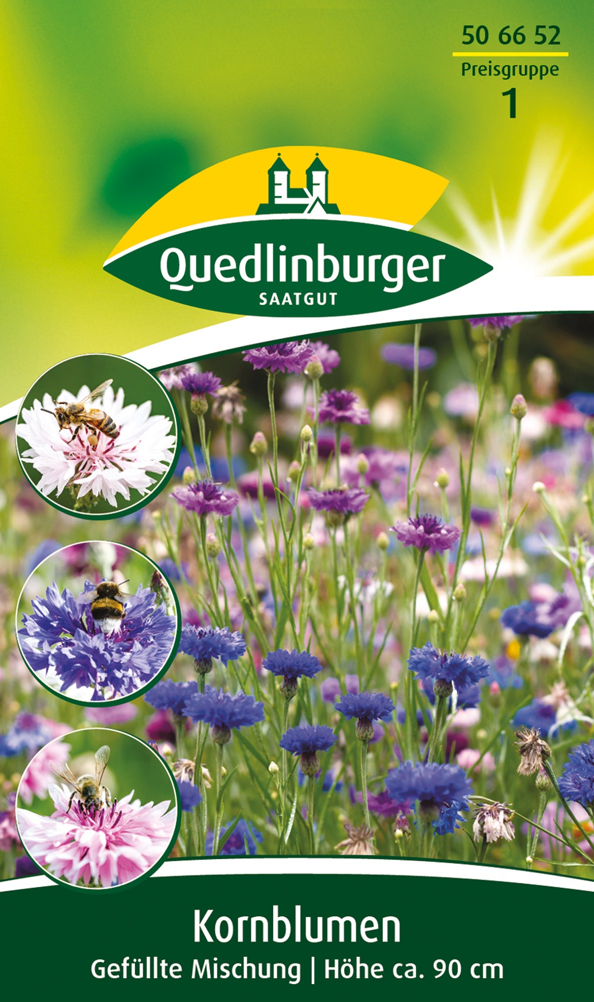 Blumensamen Kornblume Gefüllte Mischung von Quedlinburger SAATGUT