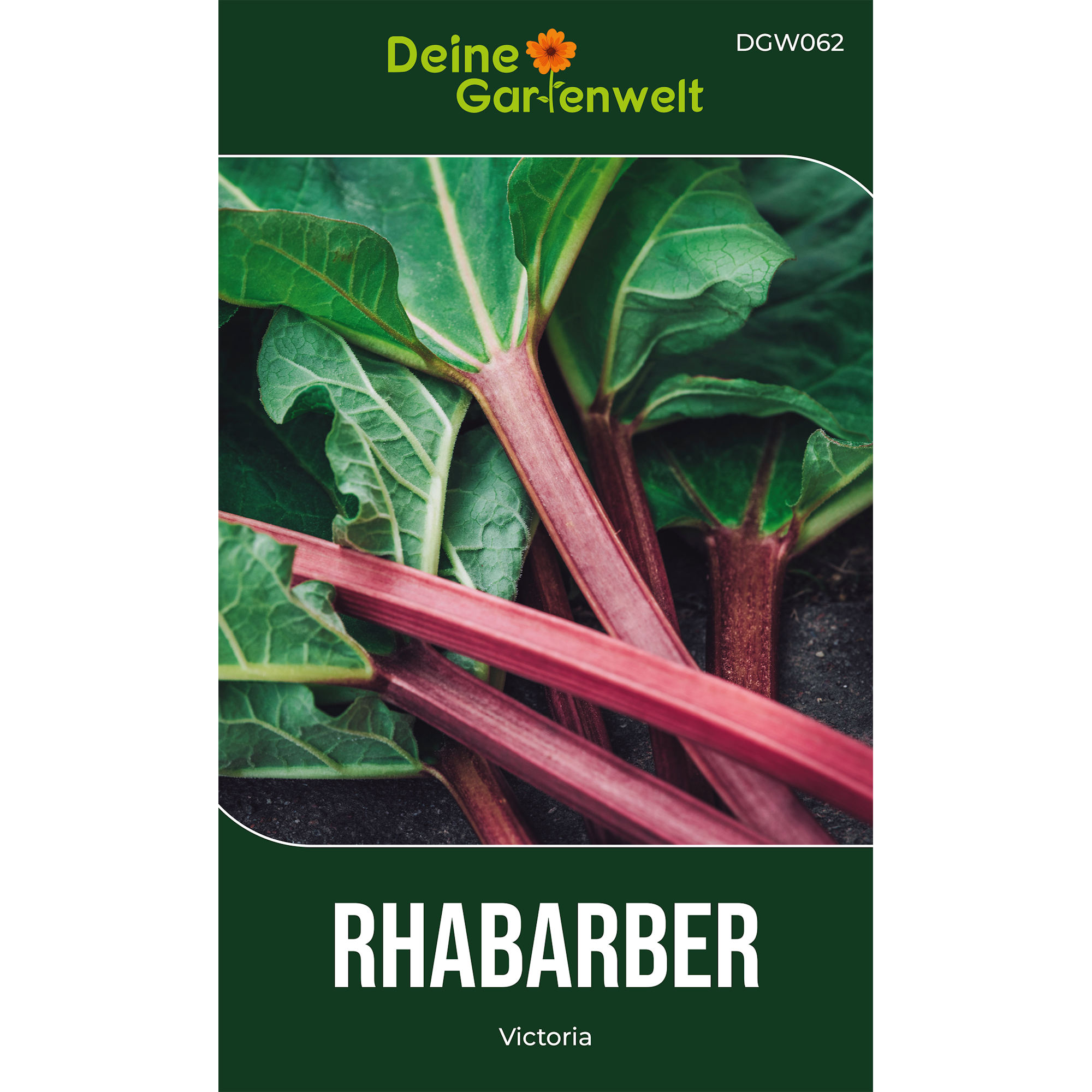 Rhabarber rot – Samen online kaufen