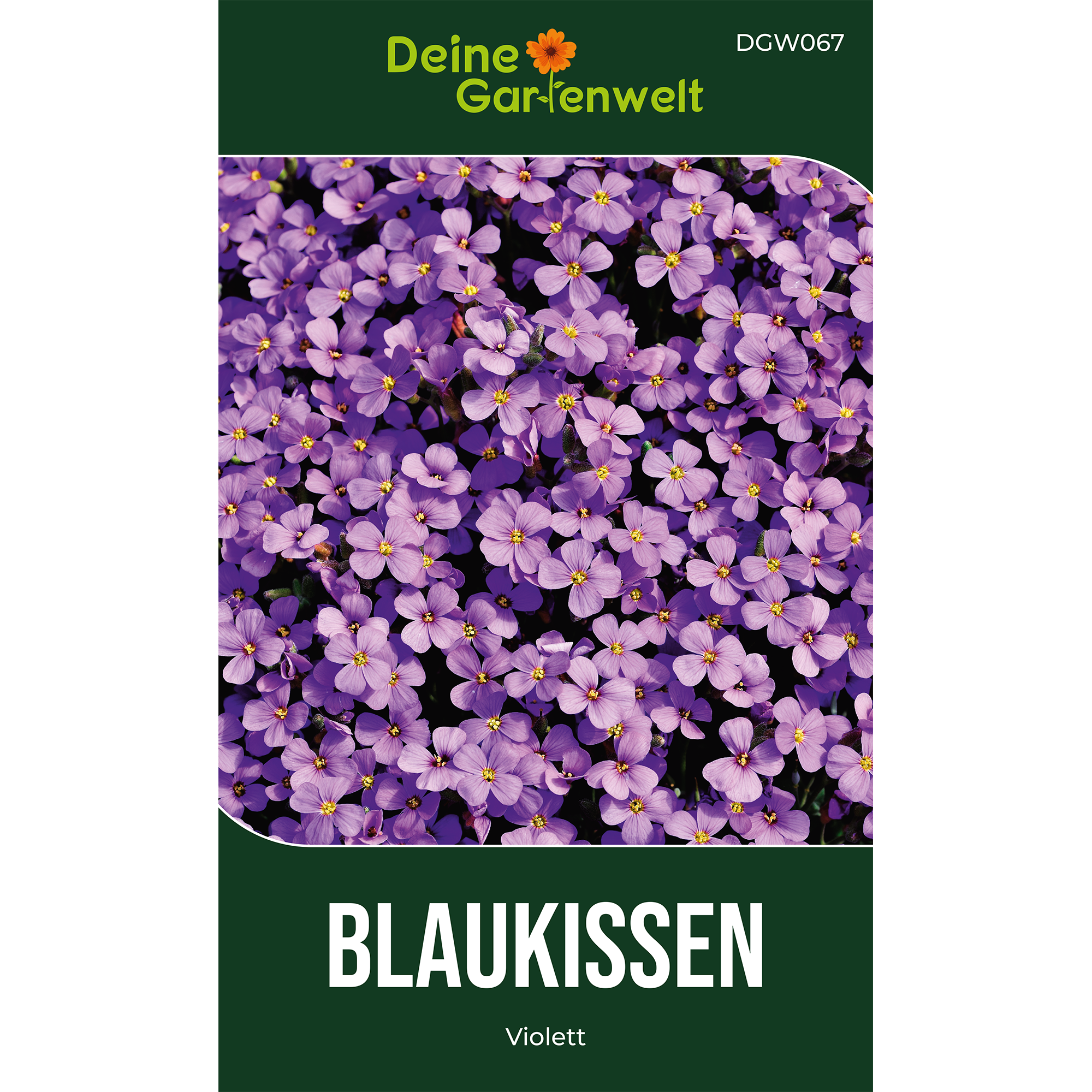 Blaukissen Violett – Blumensamen online kaufen