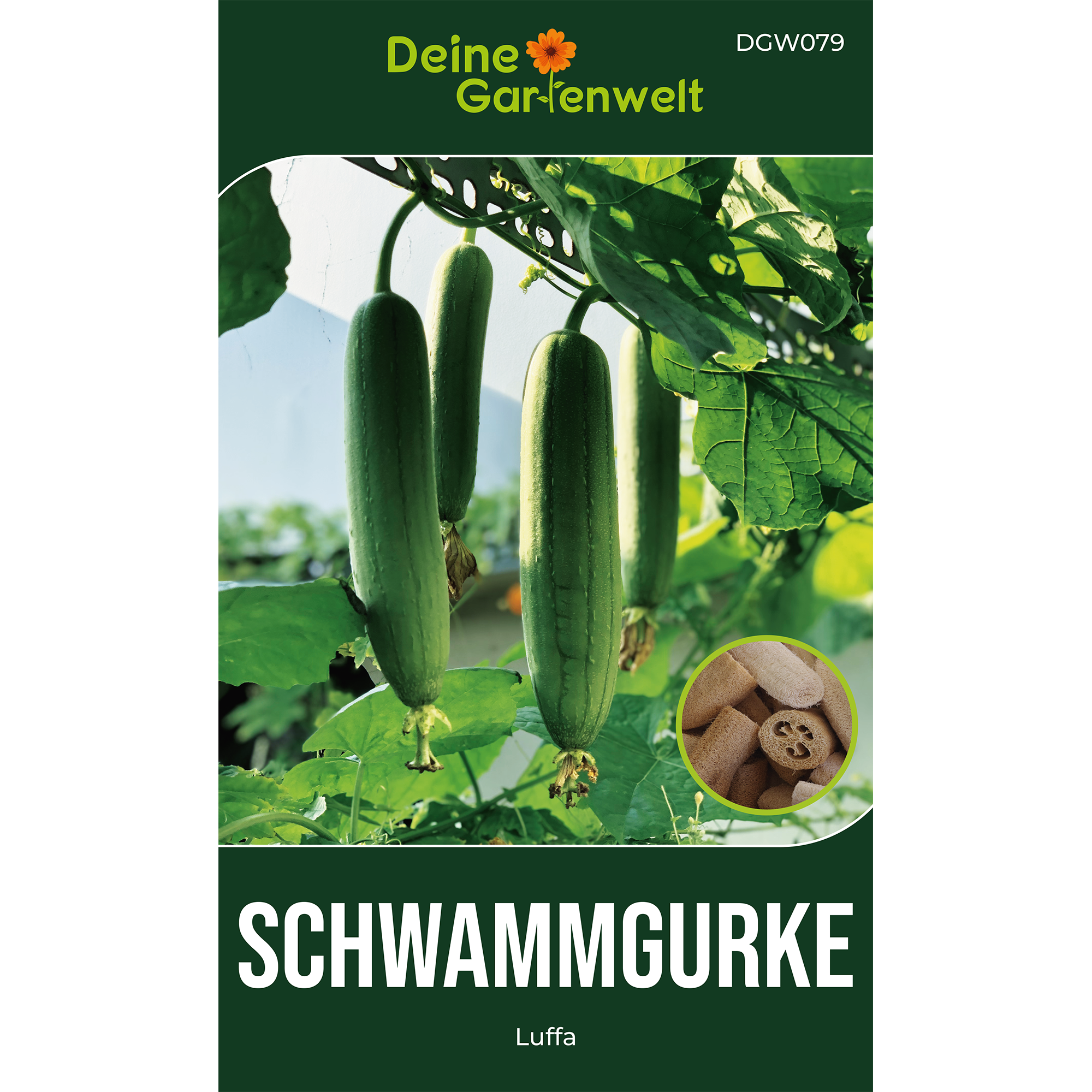 Schwammgurke Luffa – Gemüsesamen online kaufen