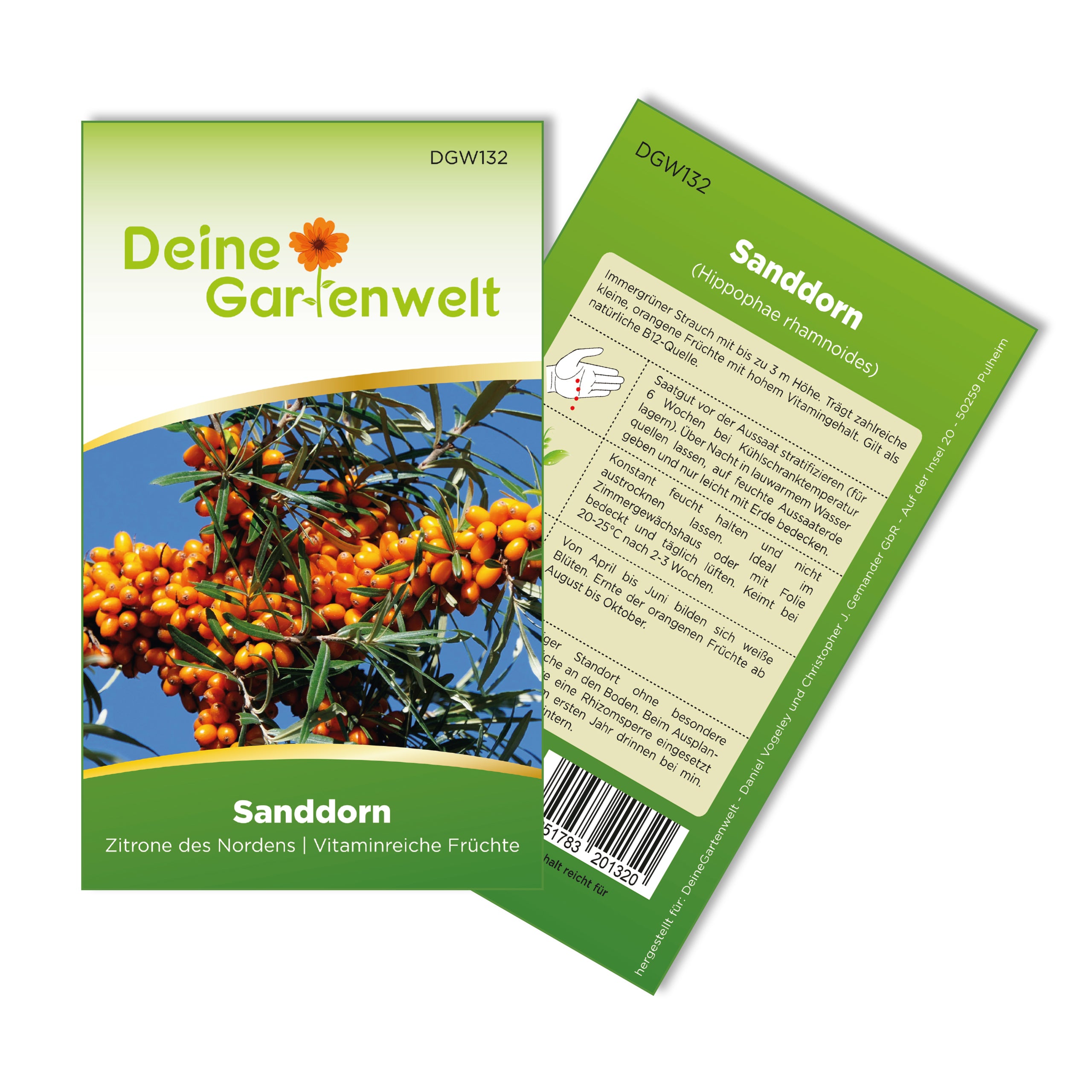 saatgut hagedorn Samen Sanddorn
