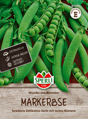 Markerbse Wunder von Kelvedon