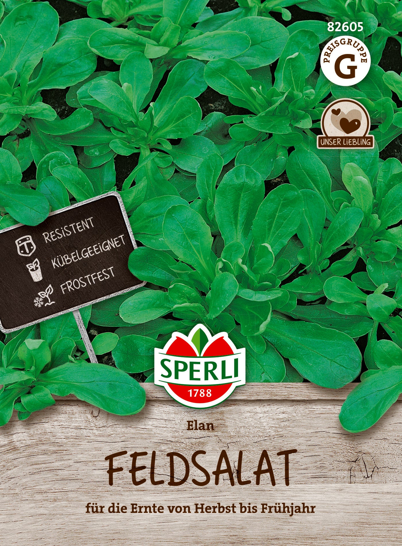 Feldsalat Elan