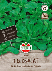 Feldsalat Elan