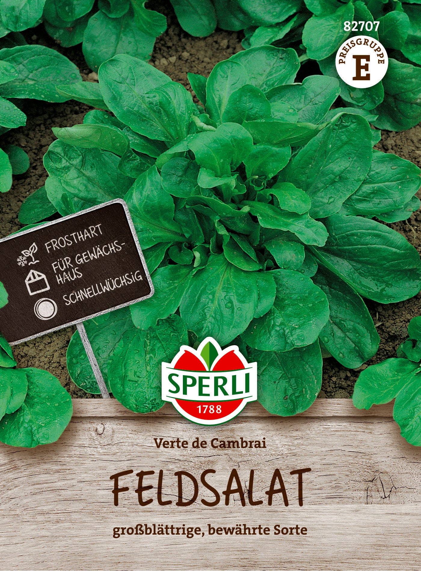 Feldsalat Verte de Cambrai