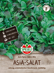 Asia-Salat Asia Spicy Green Mix