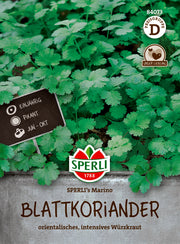 Koriander SPERLI's Marino