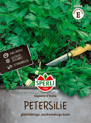 Petersilie Gigante d'Italia