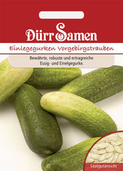 Einlegegurken Vorgebirgstrauben