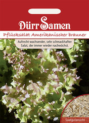 Pflücksalat Amerikanischer Brauner