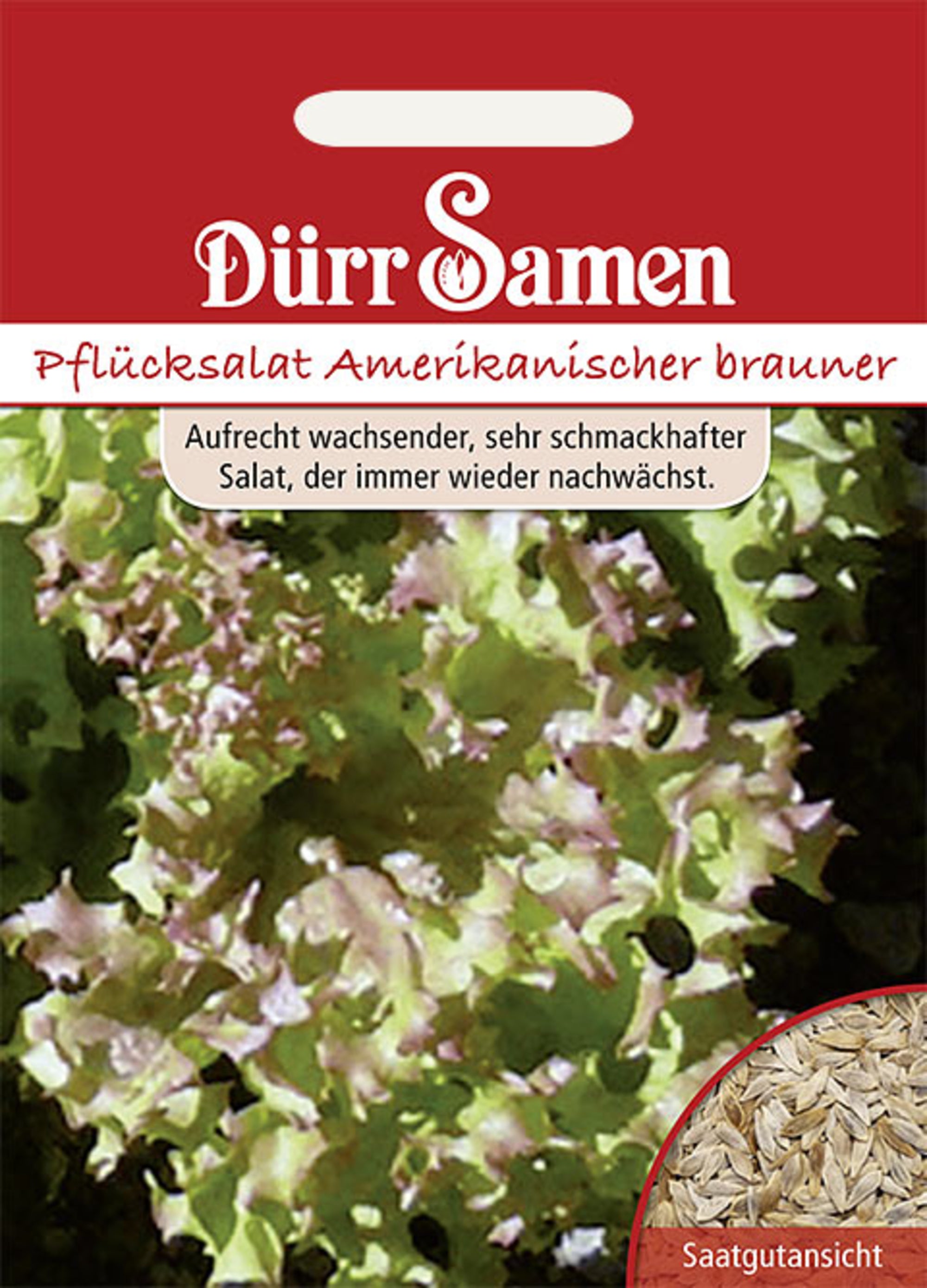 Pflücksalat Amerikanischer Brauner