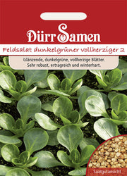 Feldsalat Dunkelgrüner vollherziger