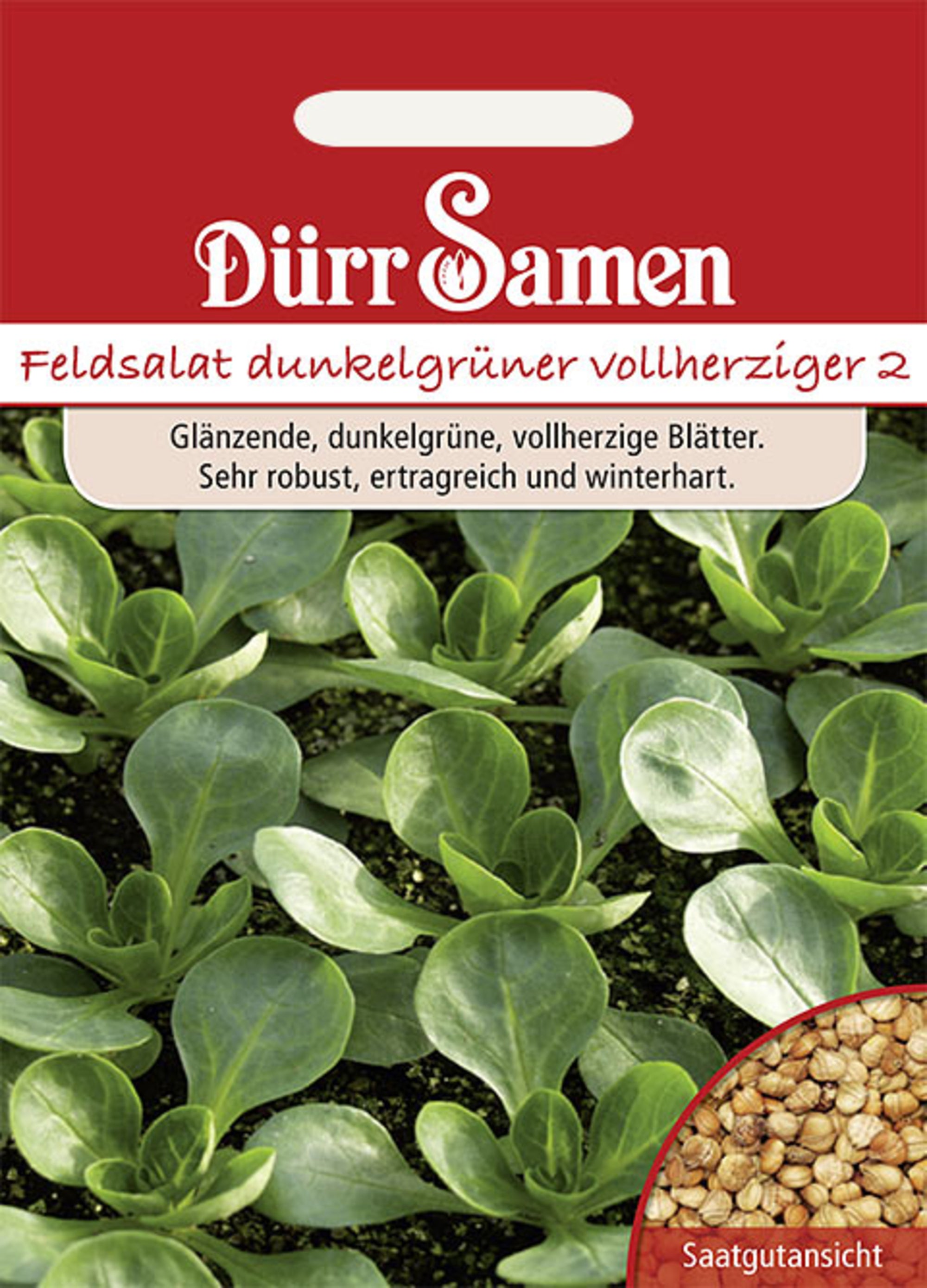 Feldsalat Dunkelgrüner vollherziger