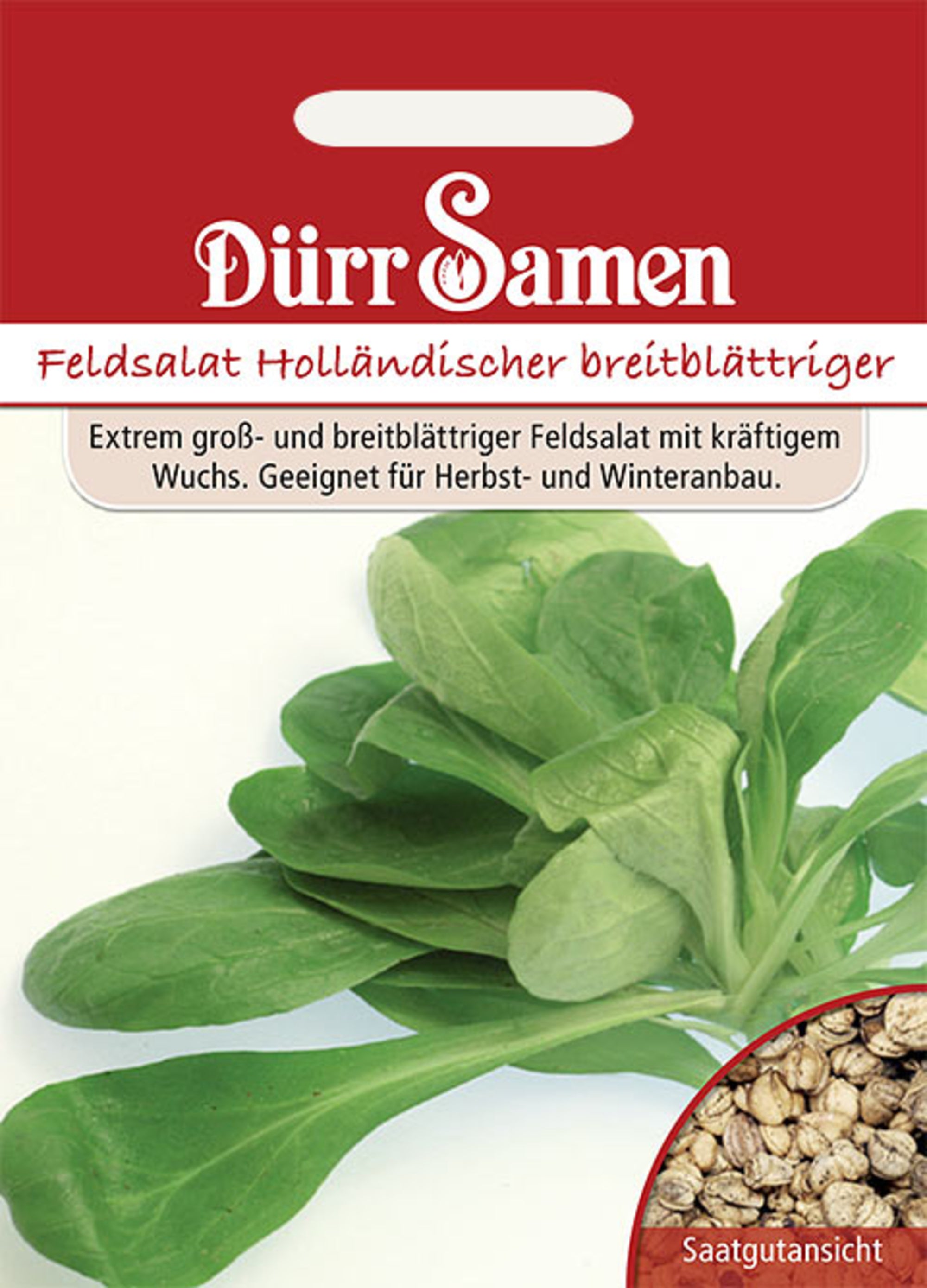 Feldsalat Holländer