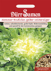 Sommer-Endivien gelber vollherziger