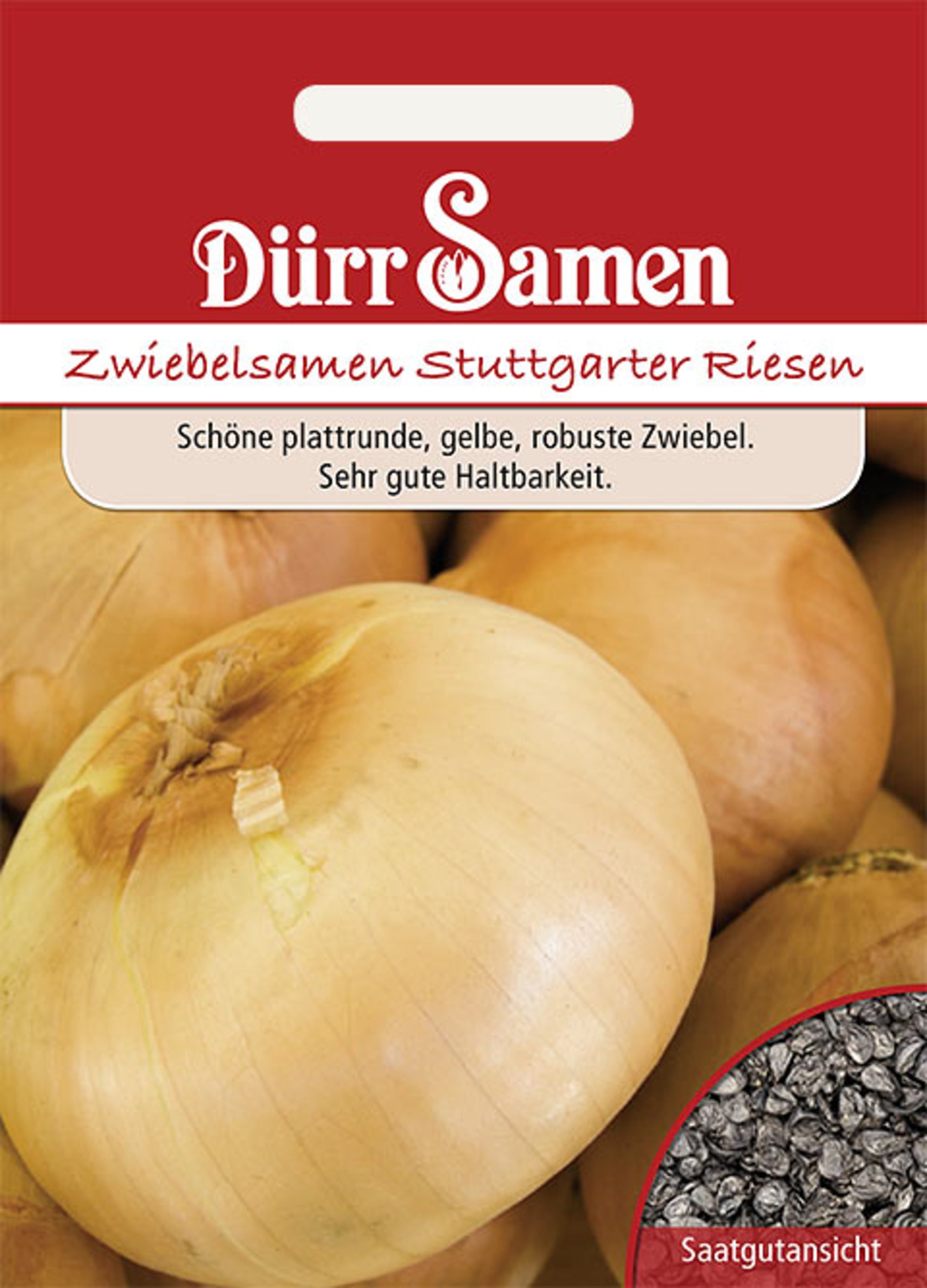 Sommerzwiebeln Stuttgarter Riesen