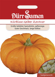 Kürbis Gelber Zentner
