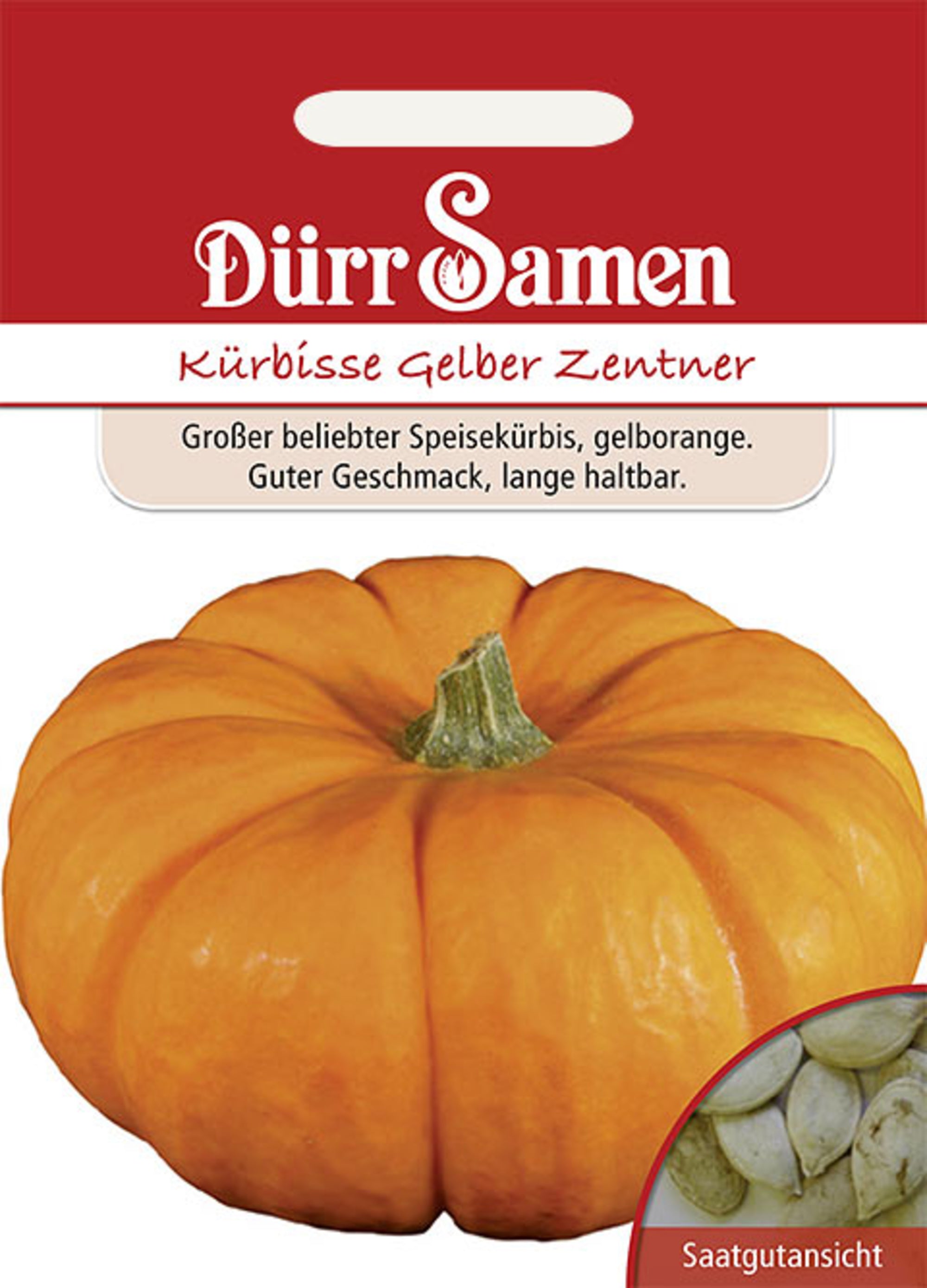 Kürbis Gelber Zentner