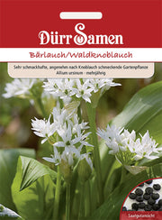 Bärlauch/ Waldknoblauch