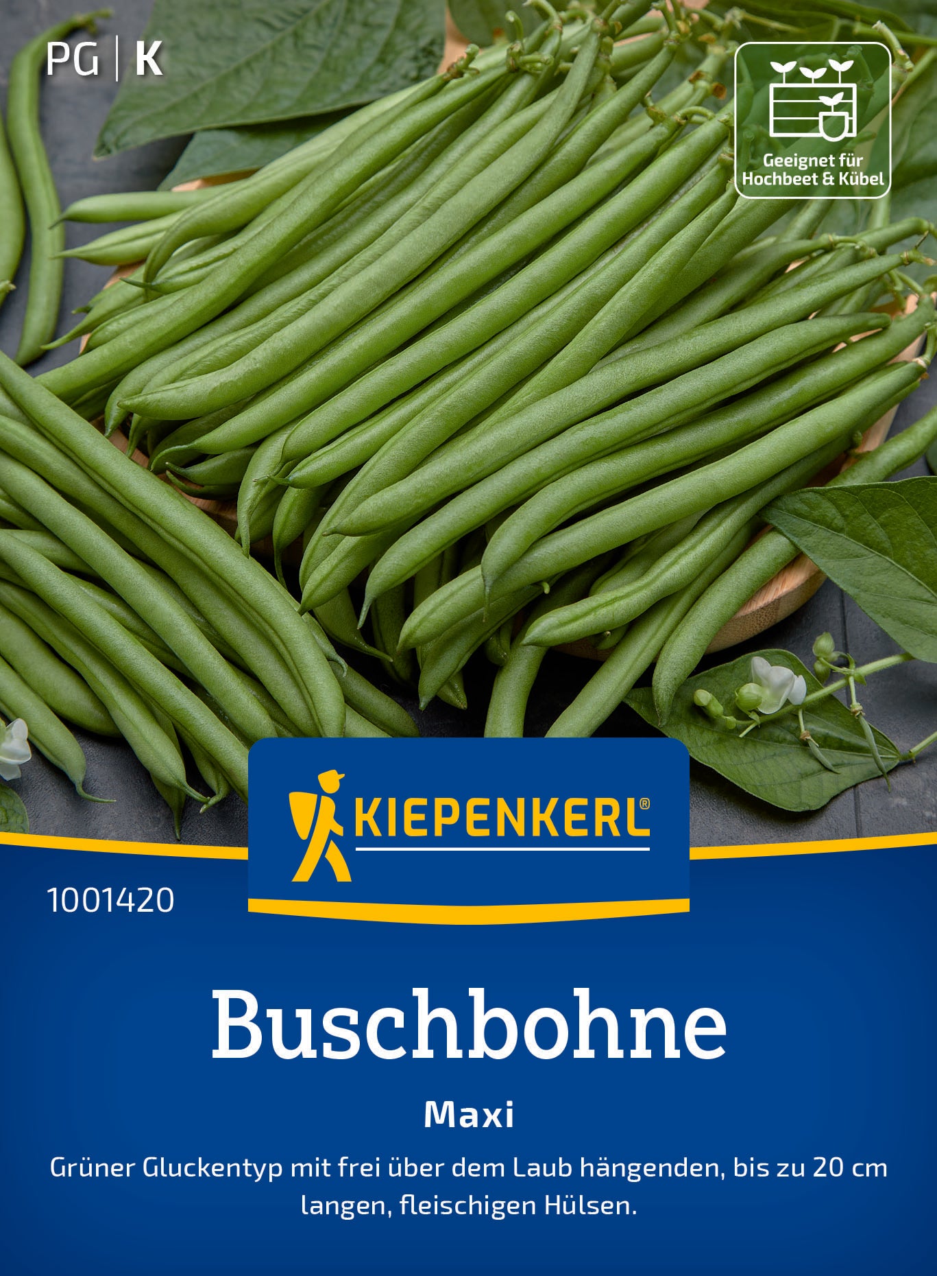 Buschbohne Maxi