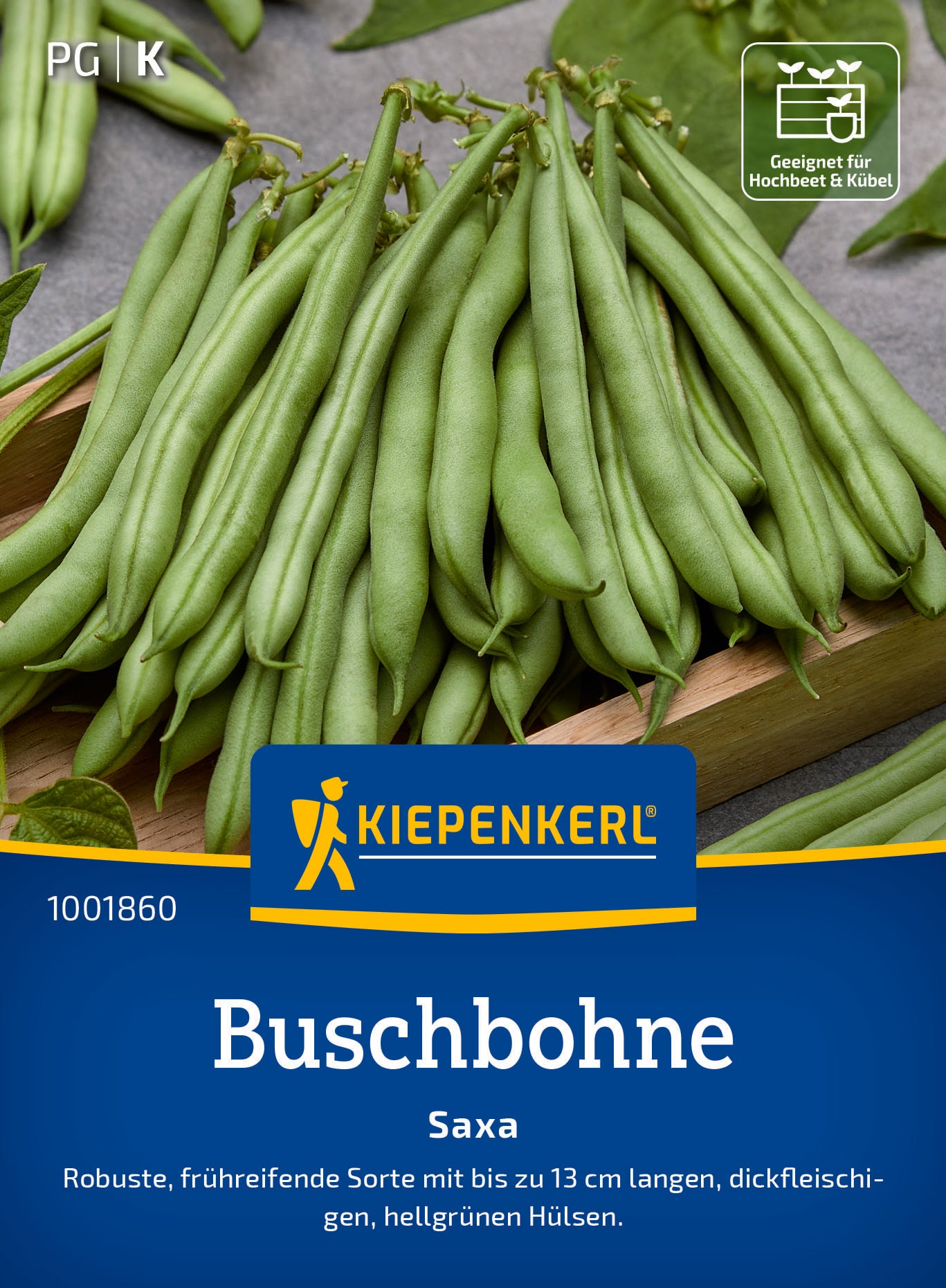 Buschbohne Saxa