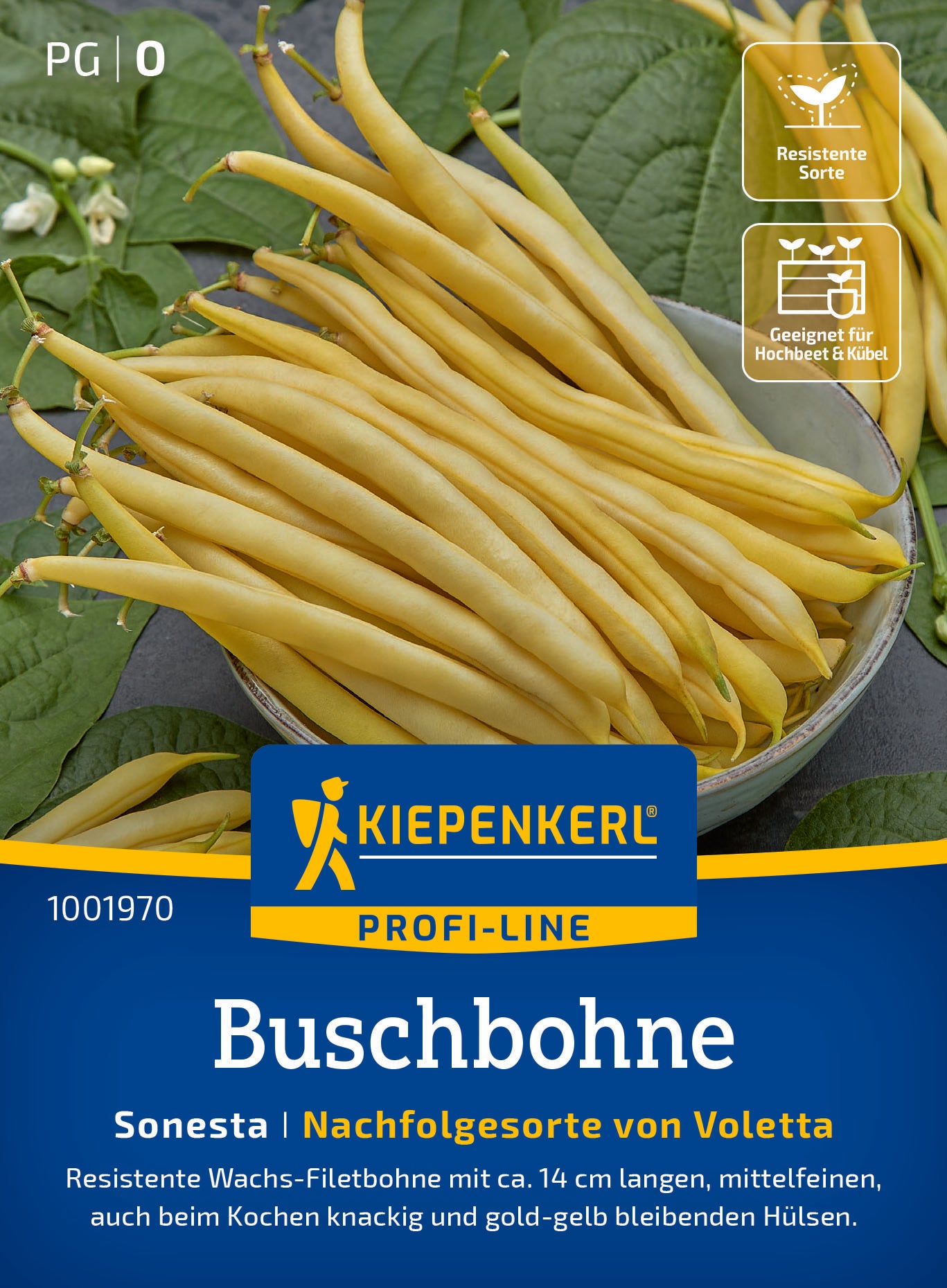 Buschbohne Sonesta