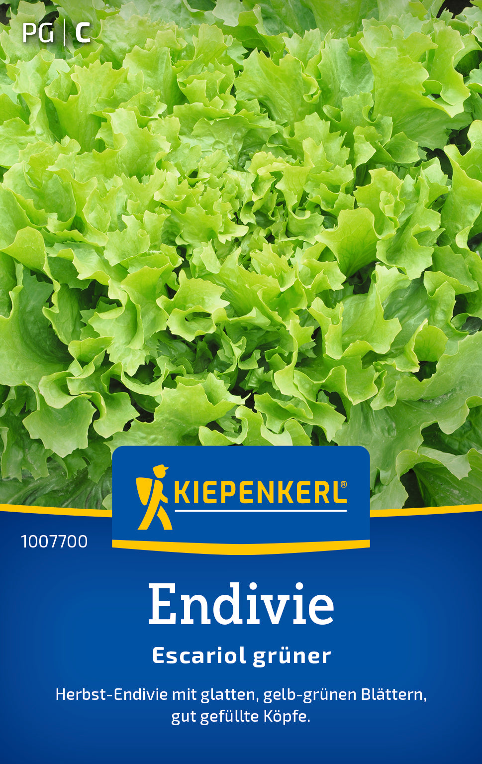 Endivie Escariol grüner