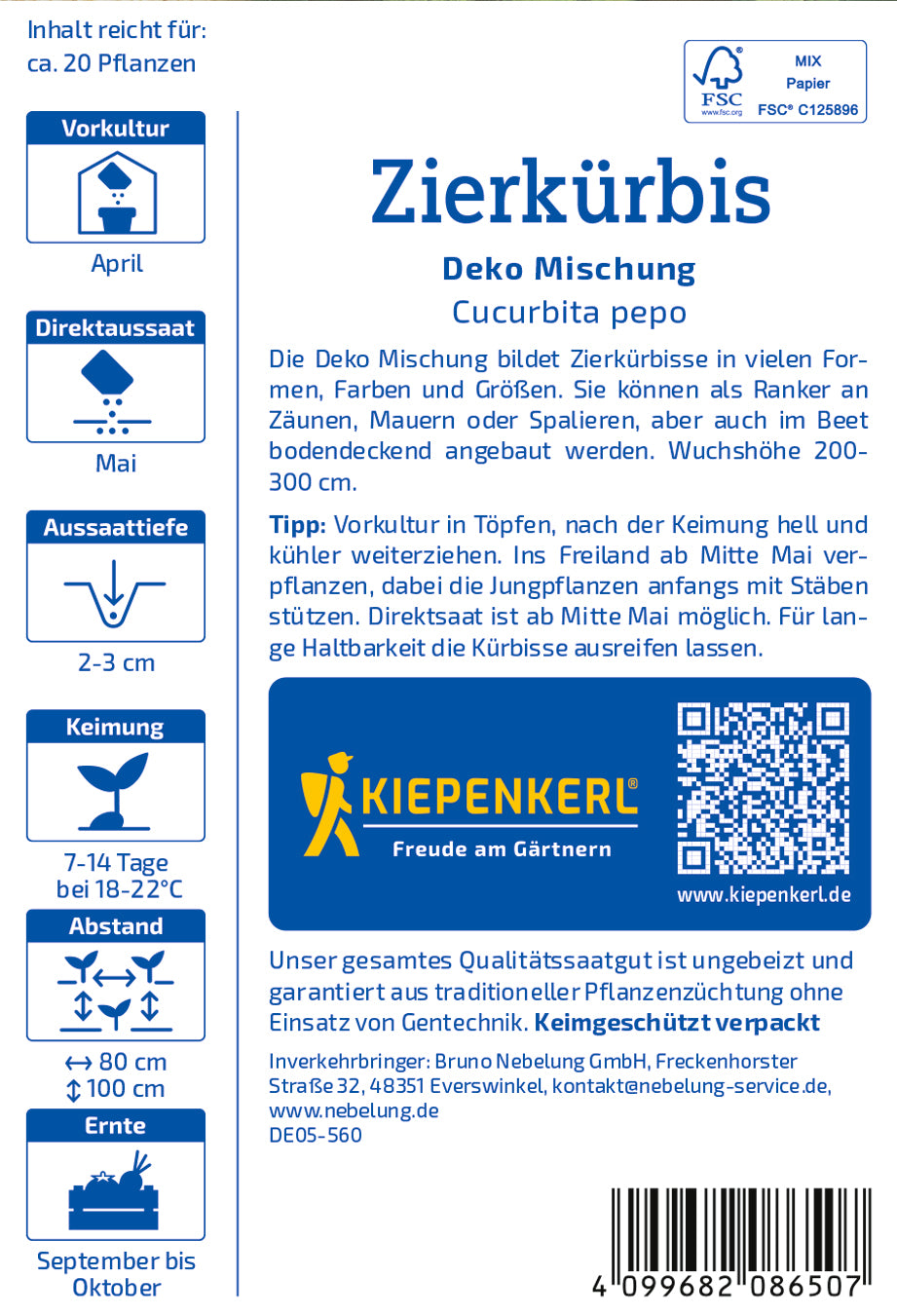 Zierkürbissamen Deko Mischung