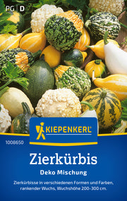 Zierkürbissamen Deko Mischung