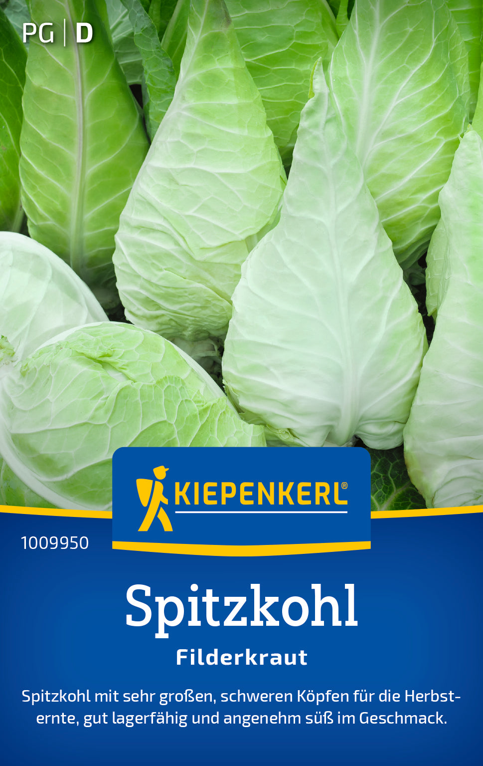 Weißkohlsamen Filderkraut