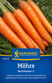 Möhre Berlikumer 2