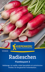 Radieschen Flamboyant 2