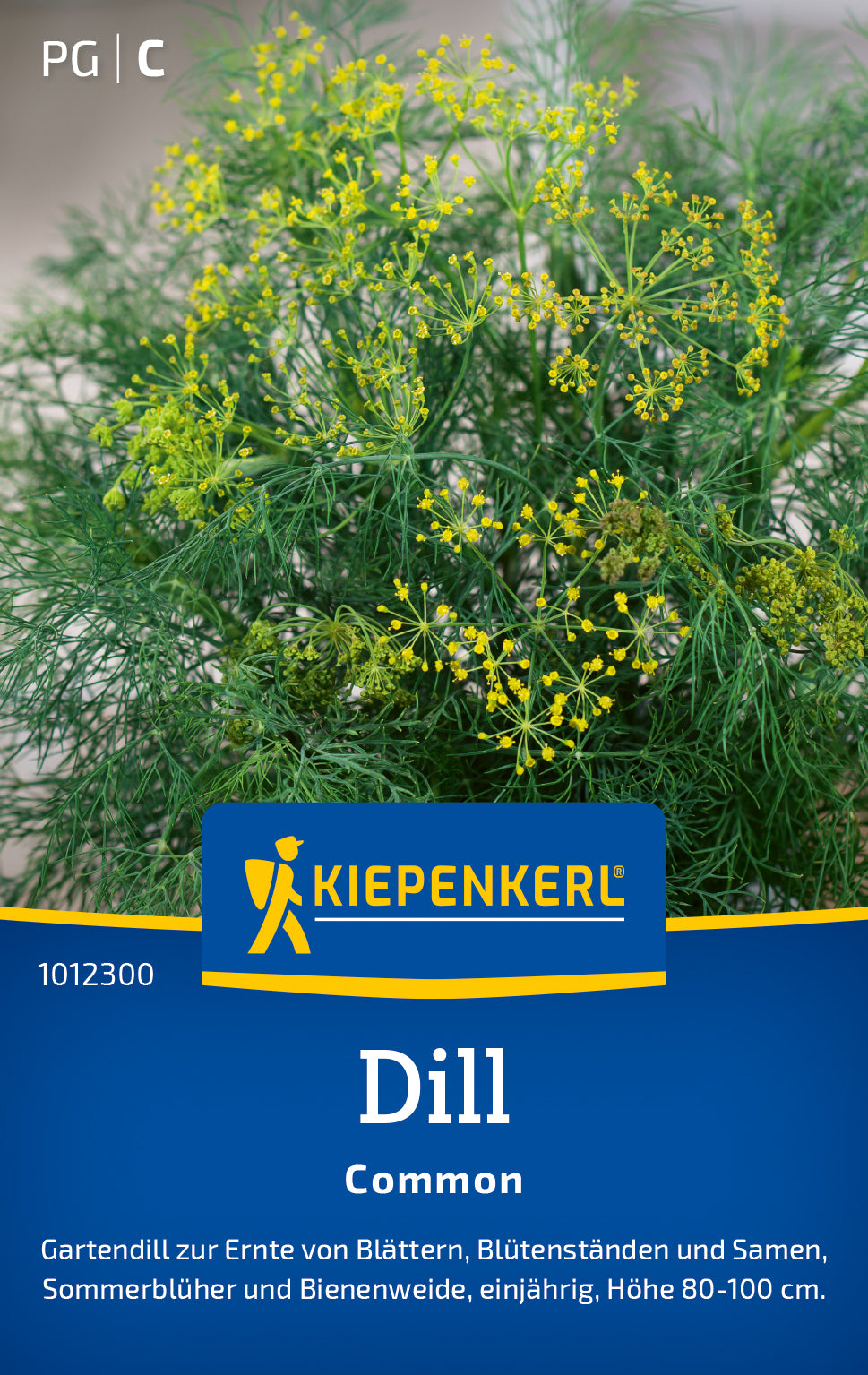 Dill Common