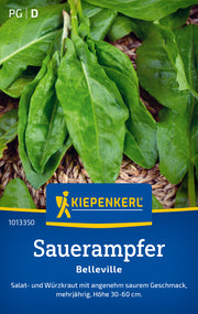 Sauerampfer Belleville