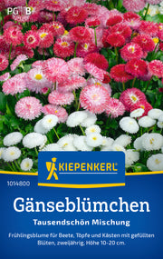 Gänseblümchensamen Tausendschön Mischung