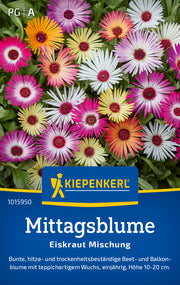 Mittagsblume Eiskraut Mischung