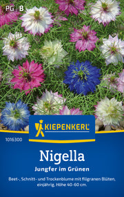 Nigellasamen Jungfer im Grünen