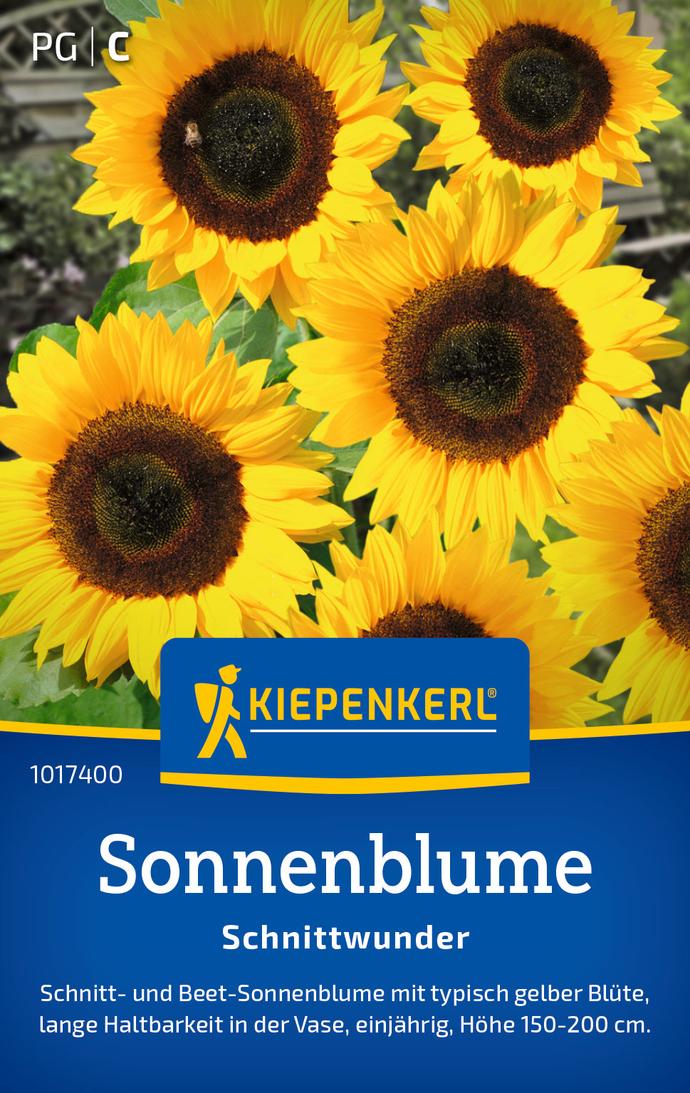 Sonnenblume Schnittwunder