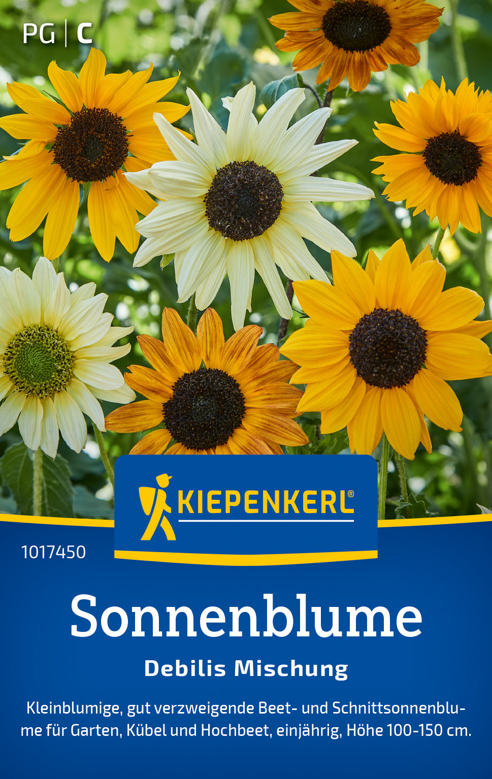 Sonnenblume Debilis Mischung