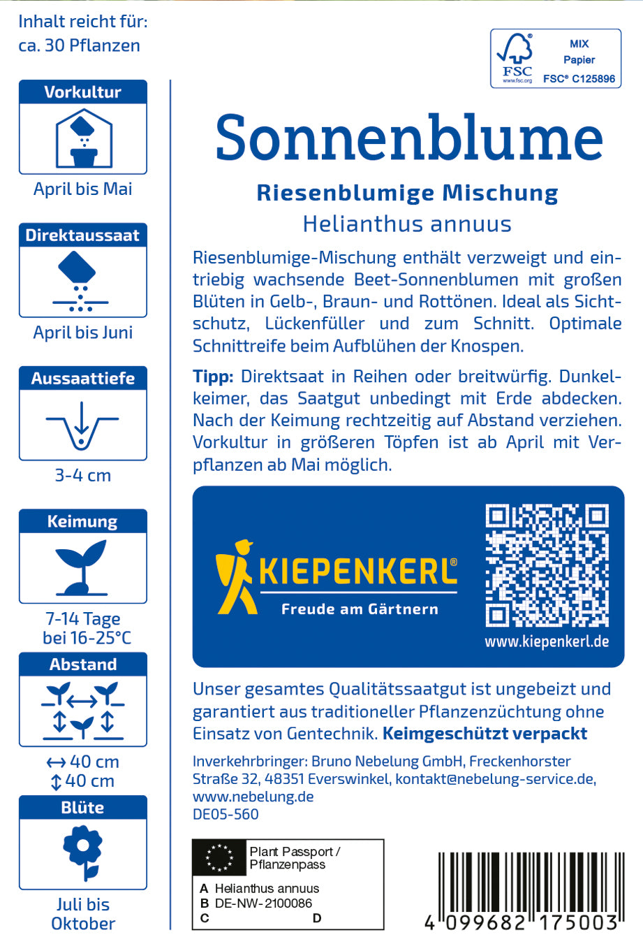 Sonnenblume Riesenblumige Mischung