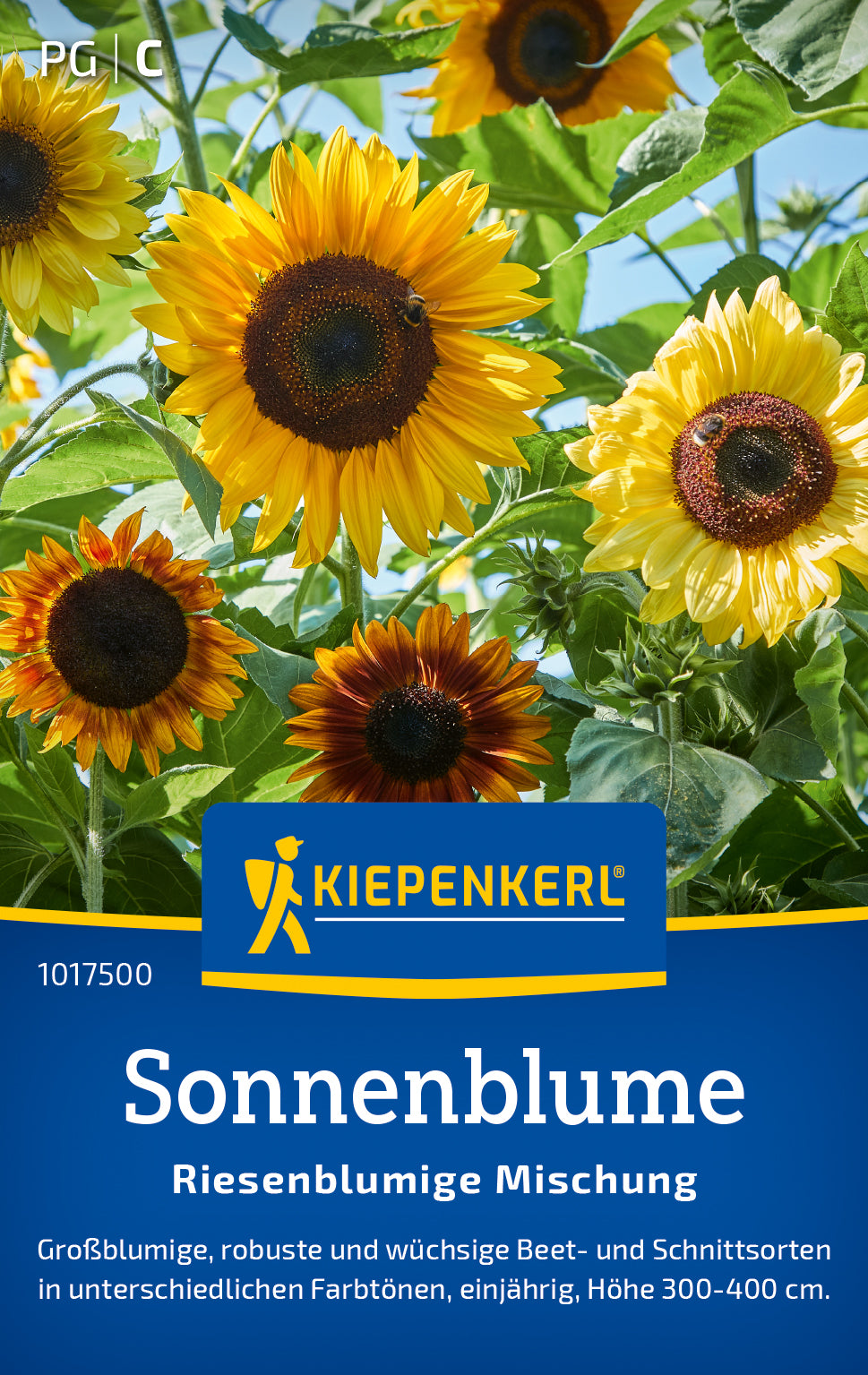 Sonnenblume Riesenblumige Mischung