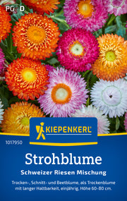 Strohblume Schweizer Riesen Mischung