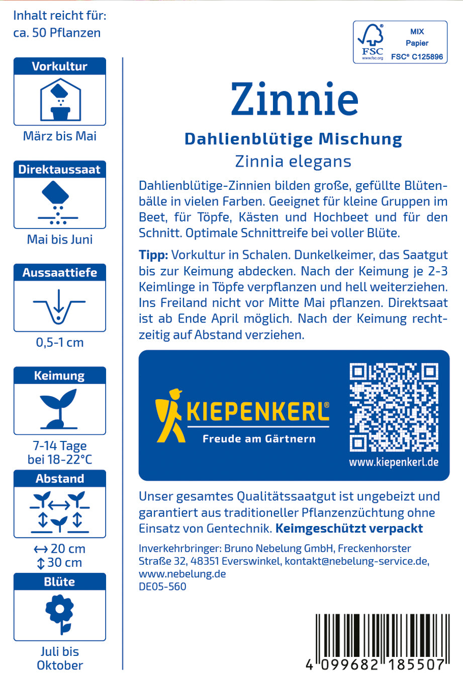 Zinnie Dahlienblütige Mischung