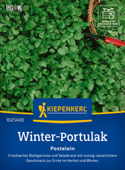 Portulak Winterportulak